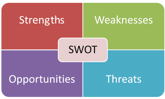 英国论文代写 SWOT-Analysis